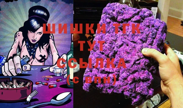 МДПВ Алзамай