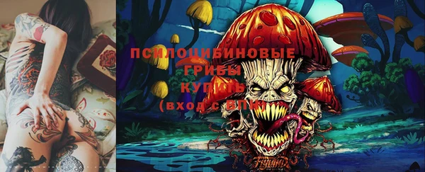 метамфетамин Алексин